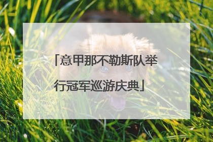 意甲那不勒斯队举行冠军巡游庆典
